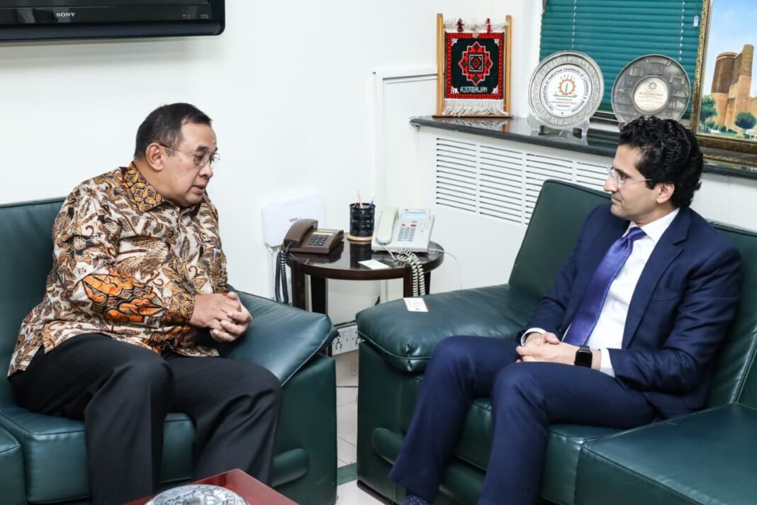 Pak-Indonesia seek strategic minerals cooperation