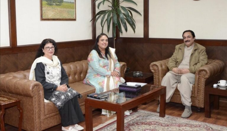 Govt commitment to continue cooperating for the progress and prosperity, Deputy Chairman