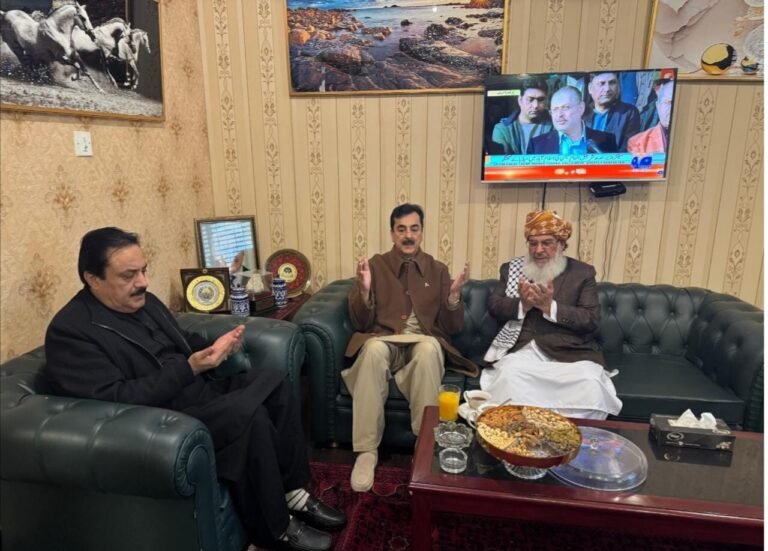 Chairman Senate visited Deputy Chairman house to offer condolences