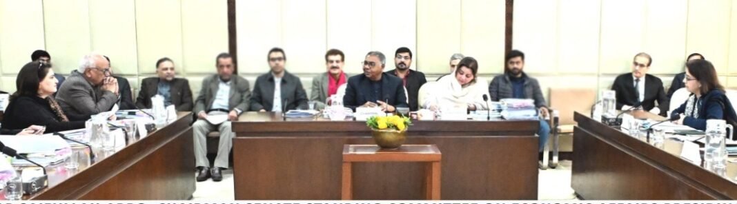 Senate Economic Affairs Committee Lambasts Minister’s repeated Absence