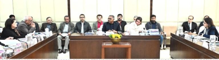 Senate Economic Affairs Committee Lambasts Minister’s repeated Absence