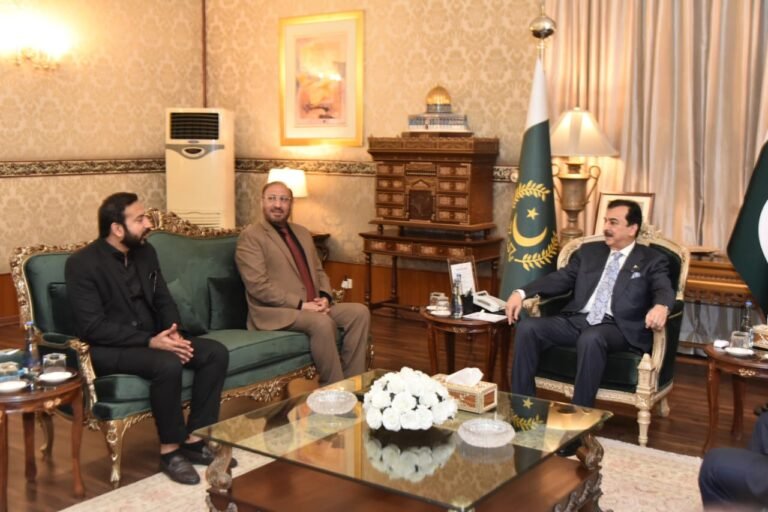 Acting President vows to develop South Punjab