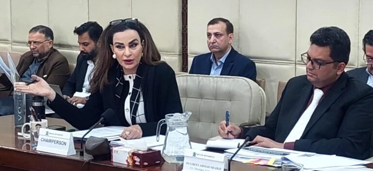 Islamabad’s green spaces are essential to conserve, Sherry