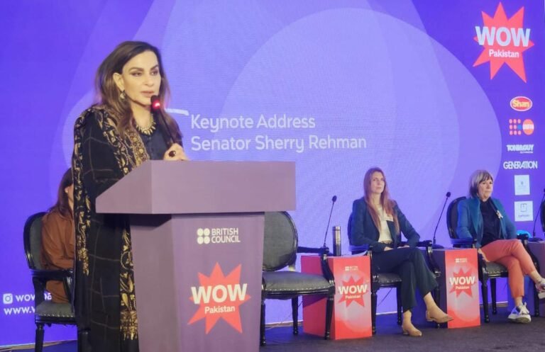 Women’s rights were not gifted by democratic progress, Sherry