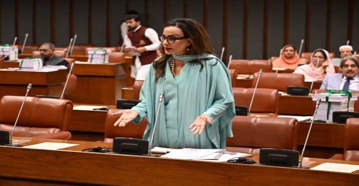 Budget Needs Overhaul, Provinces Should Get Tax Collection Powers