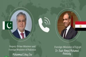 Ishaq Dar, Egypt's FM, Discusses Regional Developments