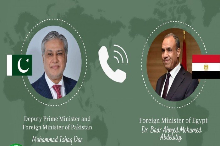 Ishaq Dar, Egypt's FM, Discusses Regional Developments