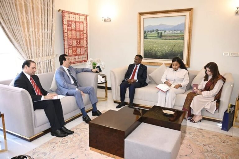 Gilani Reaffirms Commitment to Strengthening Pak-Ethiopia Relations