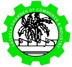 Fix Taxes, Cut Energy Costs, or Lose Investors, LCCI Warns Government