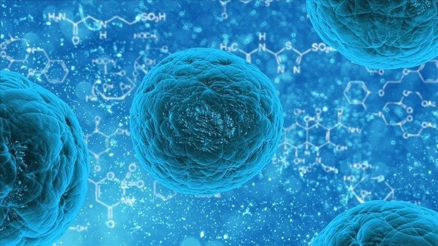 US Norovirus Cases Surge as Health Authorities Sound the Alarm