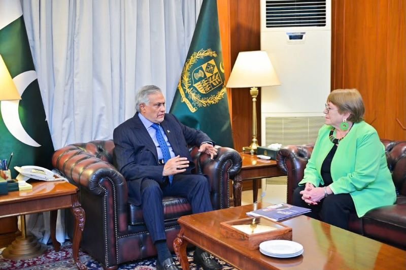 UN Secretary-General Candidate Michelle Bachelet Meets DPM
