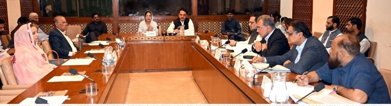 Senate Committee Reviews Electric Vehicle Policy