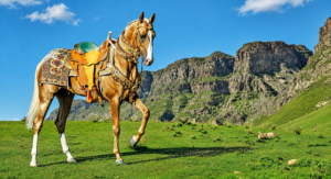 Netherlands to Host First World Akhal-Teke Horse Championship