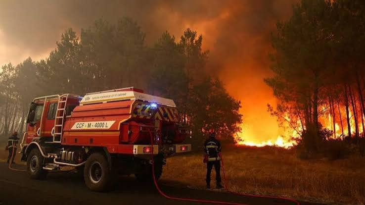 France Evacuates 43,000 as Wildfires Rage Near Bordeaux