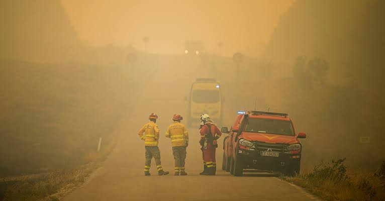 Spain Targets Wildfire Recovery in Climate Emergency Push