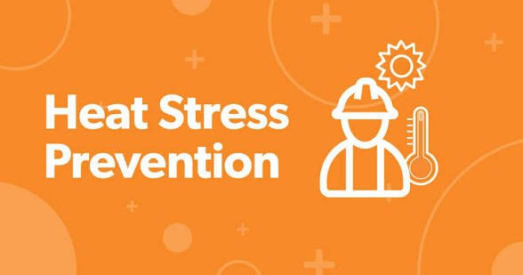 WHO Urges Public To Recognize Dangerous Heat Stress Symptoms