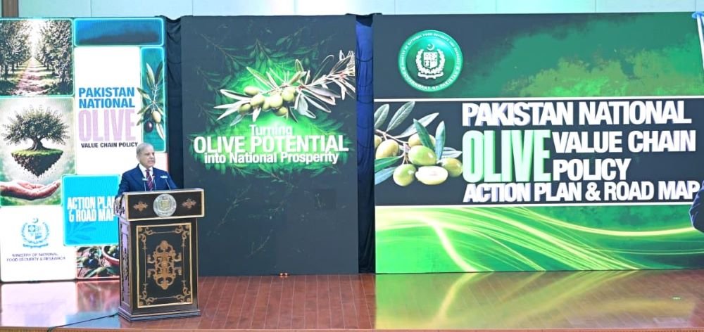 PM Unveils National Olive Value Chain Policy
