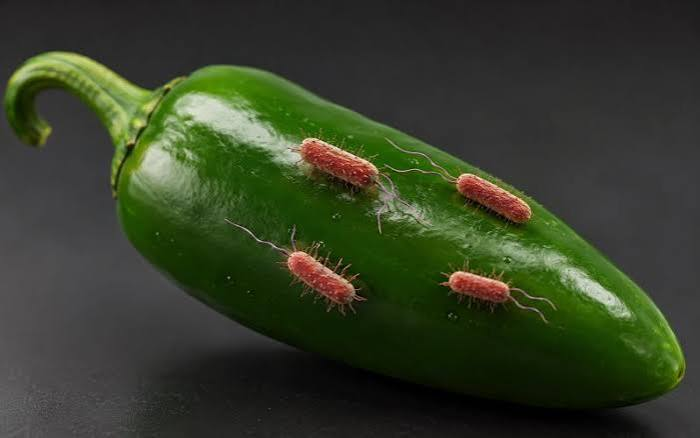 CDC Investigates Multistate Salmonella Outbreak Linked to Jalapenos
