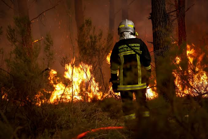 Study Links Europe Wildfire Weather to Climate Crisis