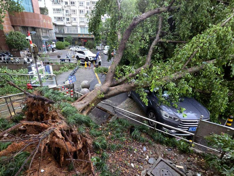 Typhoon Dolphin Floods Central China, Beijing on Alert