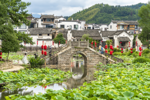 From sightseeing to living: A new way to experience China