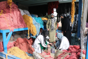 ILO Reports Sharp Decline in Afghan Women's Employment to 5%