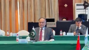 Ahsan Iqbal Calls for Stronger SCO Cooperation in Digital Economy