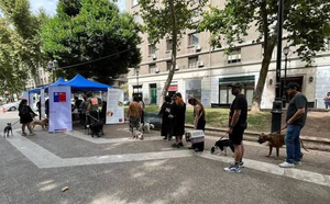 People standing in line with their dogs at an outdoor community event in Chile with blue tents