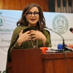 Plastic Pollution Reaches New Crisis Levels: Sherry