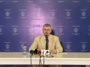 Ukrainian Drones Target Russian Cities, Disrupting Elections: Amb Albert