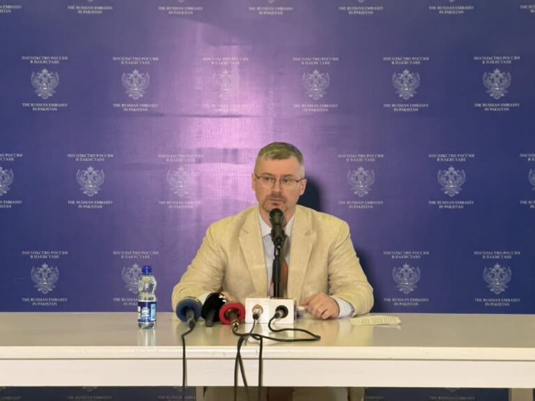 Ukrainian Drones Target Russian Cities, Disrupting Elections: Amb Albert