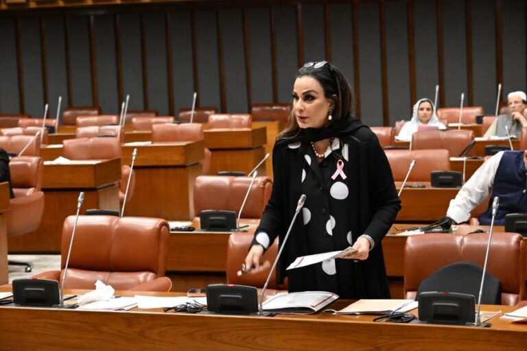 Senate Passes Sherry’s Resolution on Population Growth