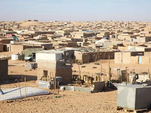 Ibiza Police Probe Suspected Forged Papers From Tindouf Camps