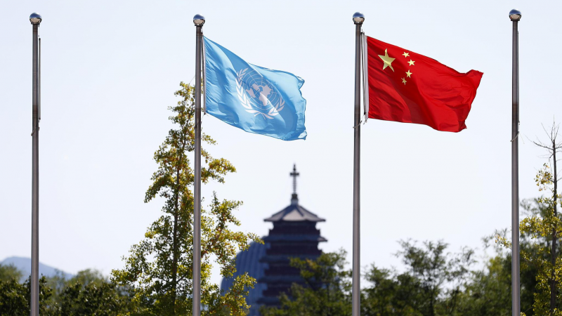 China Backs Dr Song Li for WHO Chief After US Exit