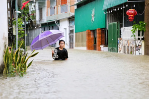 El Nino Strengthens Rapidly as December Peak Looms